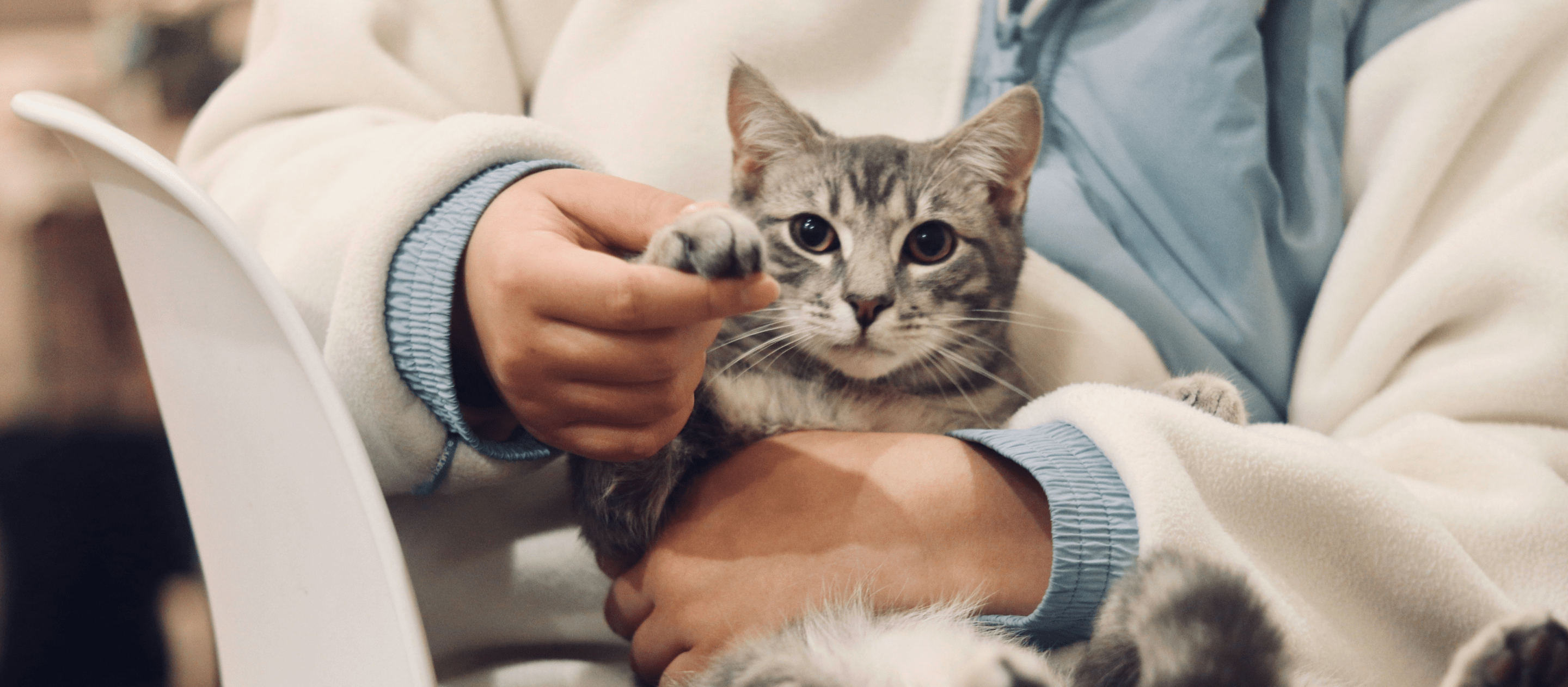 Brand and website for Vetjoy